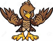 Young Falcon Young Falcon
